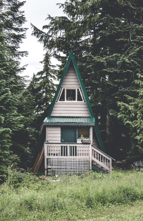 An A-frame cabin with a green roof and white walls nestled among tall, green trees. It has a small porch with railings and a ladder on the side.