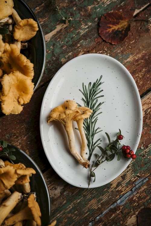 A white plate with chanterelle mushrooms, sprigs of rosemary, and some red berries on a rustic wooden table. Other mushrooms are nearby on plates.