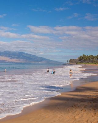 The image shows a serene beach with people enjoying the water and gentle waves, surrounded by palm trees and mountains.