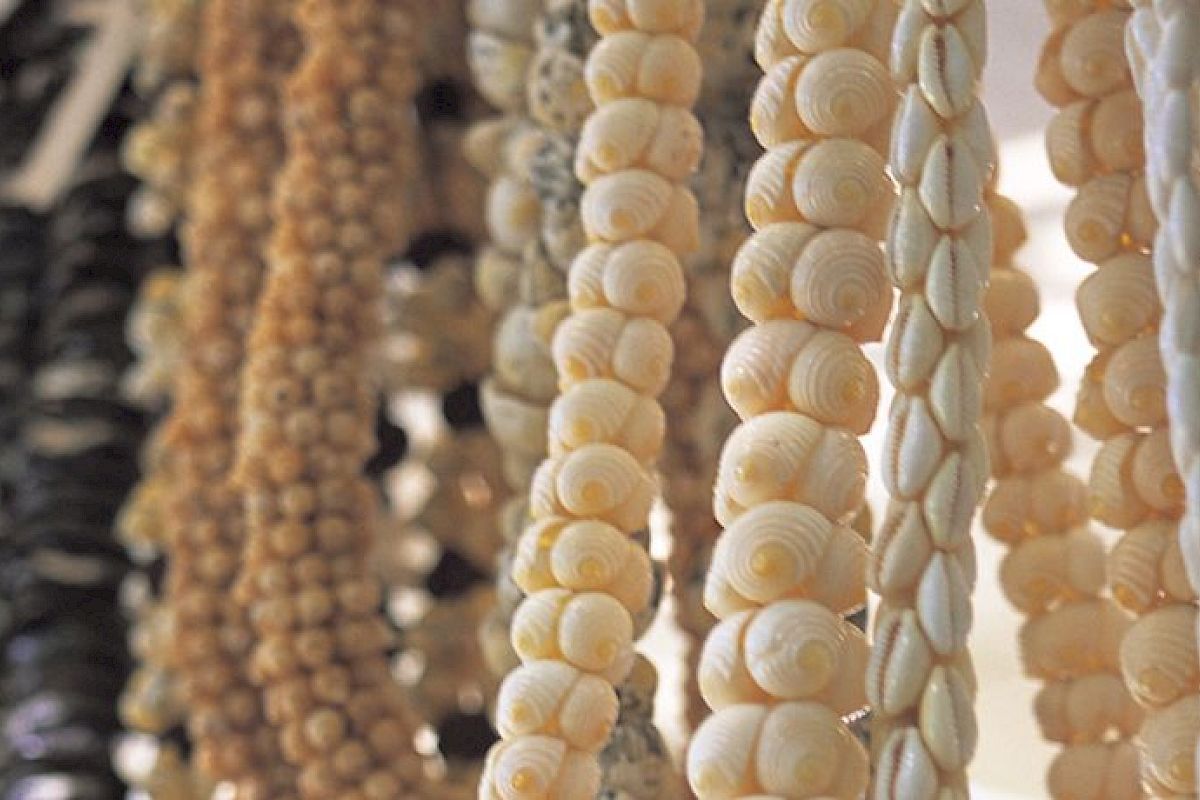 A variety of bead necklaces made from shells, stones, and other natural materials are hanging side by side.