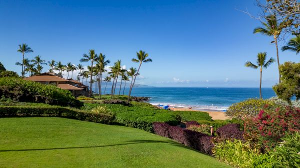A tropical beach scene with palm trees, green lawns, a sunny blue sky, and a calm ocean meeting the sandy shore, resort-style landscaping, and distant people.