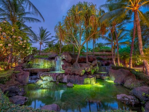 The image features a serene, tropical garden scene with a waterfall, lush greenery, rocks, and palm trees, beautifully lit at dusk.