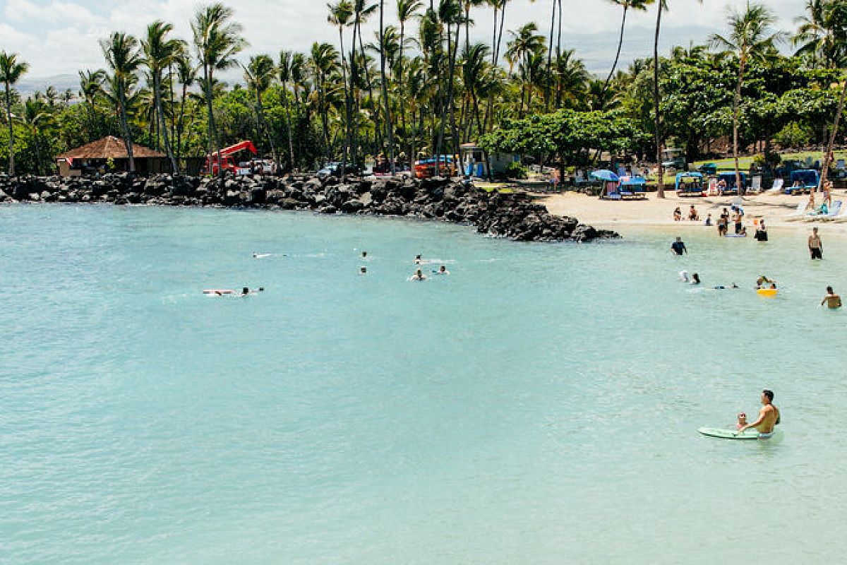 A beach scene with clear blue water, people swimming and sunbathing, paddle and surfboards, palm trees, and a lifeguard station under a partly cloudy sky.