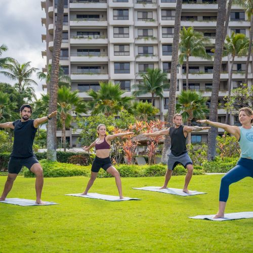 Four people practice yoga on mats, doing warrior poses on a grassy field with palm trees and a building in the background.
