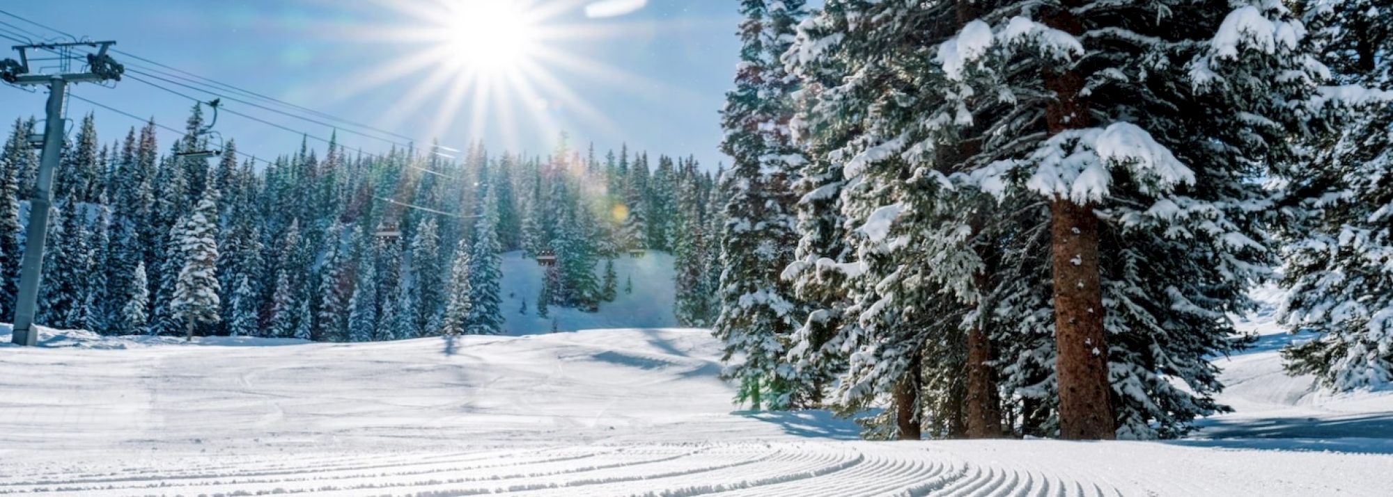 The image shows a snow-covered landscape with a ski lift, tall pine trees, and bright sunlight shining overhead. It looks serene.