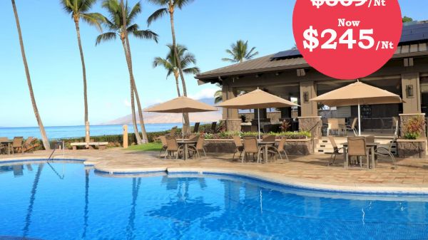 The image features a beautiful pool area with palm trees, lounge chairs, and a promotional price reduction for accommodations.