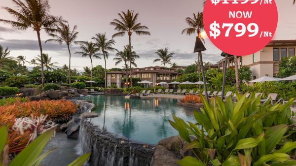 The image showcases a beautiful resort pool surrounded by tropical plants and palm trees, with a promotional price reduction.