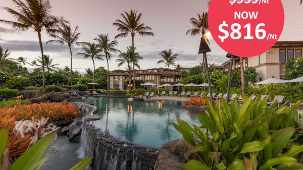 A serene resort pool area with palm trees, lush greenery, and a waterfall. A discount label shows a price drop from $959/nt to $816/nt.