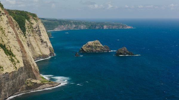 Coraltree Residence Collection