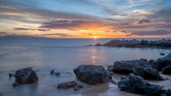 Coraltree Residence Collection