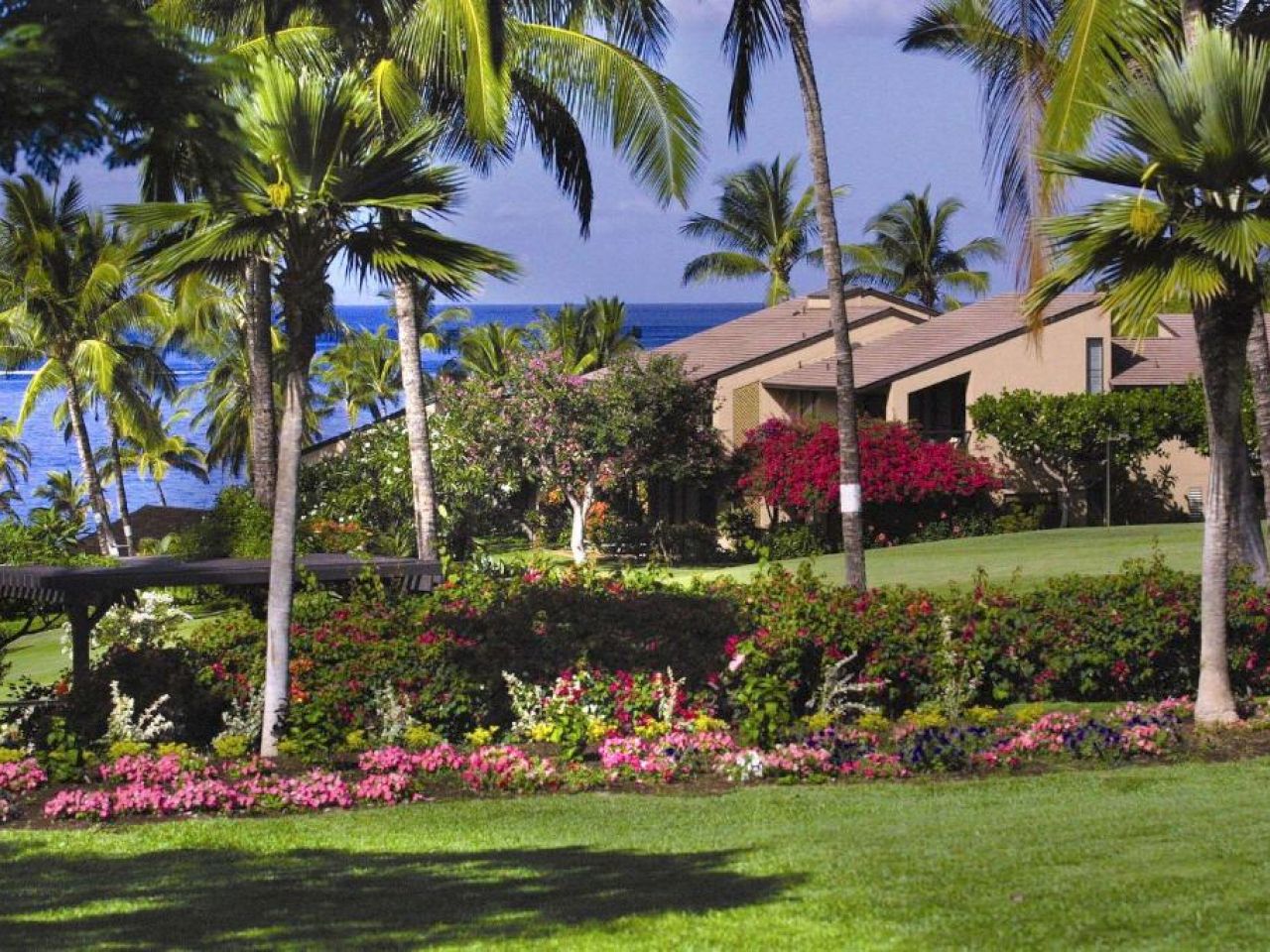 The image shows a tropical landscape with lush greenery, colorful flowers, and a house near the ocean, creating a serene atmosphere.