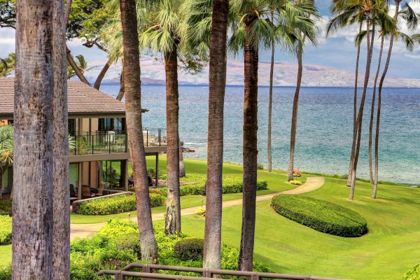 The image features a serene coastal landscape with palm trees, a neat lawn, and a wooden bridge leading to the ocean.