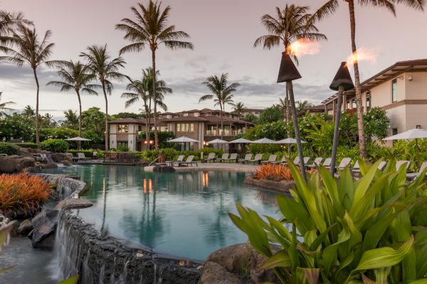 The image shows a serene resort with a pool, palm trees, tropical plants, and a peaceful waterfall, perfect for relaxation.