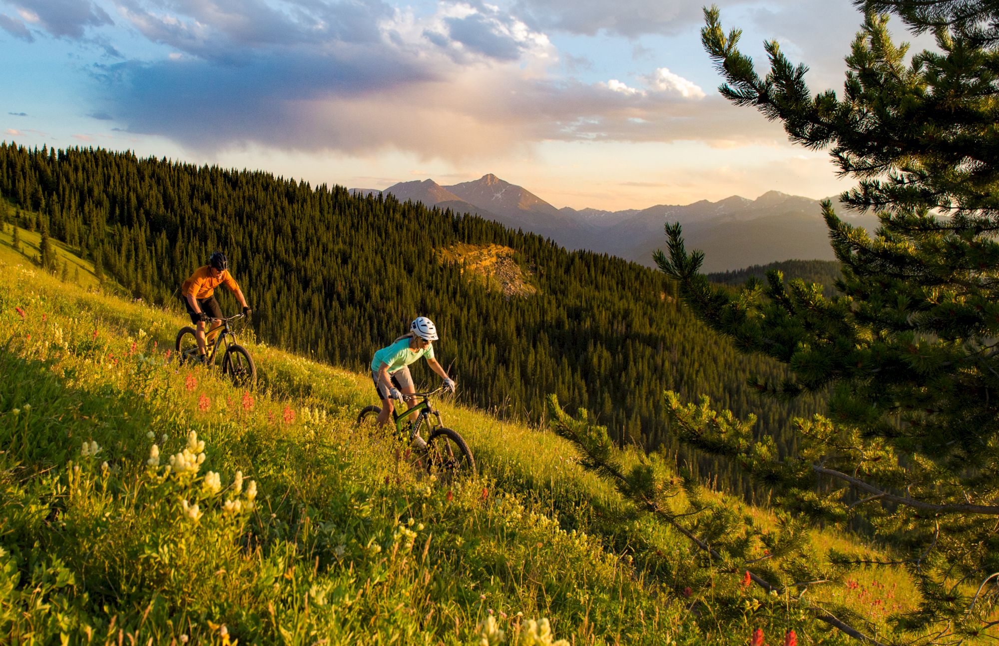 Two people are mountain biking on a grassy hillside, surrounded by trees and wildflowers, with mountains in the background under a partly cloudy sky.