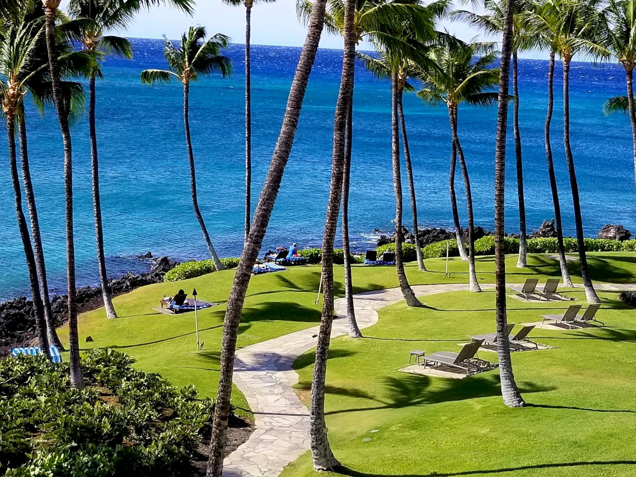 The image shows a tropical landscape with palm trees, a pristine blue ocean, and a manicured lawn with lounge chairs.