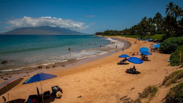 The image depicts a sunny beach with umbrellas, gentle waves, and palm trees, creating a serene tropical atmosphere.