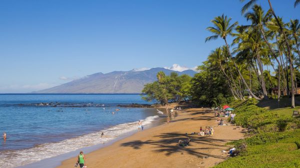 The image shows a sunny beach with people enjoying the sand, waves, and palm trees, against a backdrop of mountains.