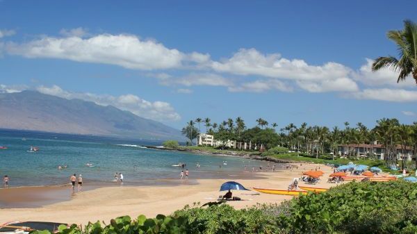 The image shows a beautiful beach scene with palm trees, clear water, and people enjoying the sun and sand under a blue sky.