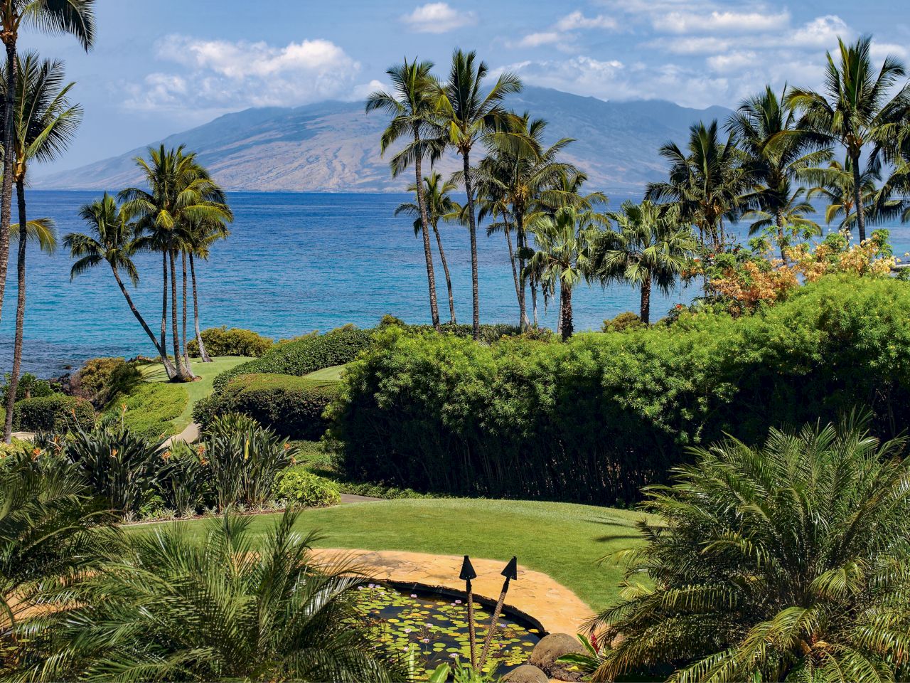 The image features a tropical landscape with palm trees, lush greenery, and a serene ocean view with mountains in the background.