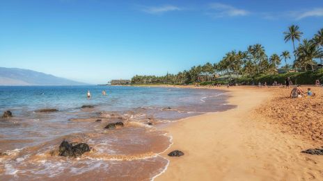 The image depicts a sunny beach with golden sand, clear waters, and palm trees lining the shore, perfect for relaxation and fun.