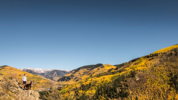 The image features a person on horseback in a vibrant, autumn-colored landscape with hills and a clear blue sky.