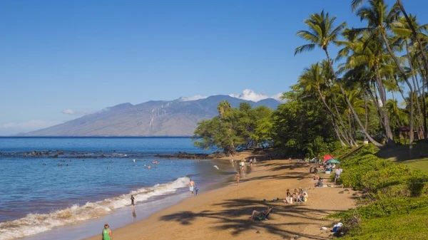 The image shows a sunny beach scene with palm trees, people enjoying the sand, and mountains in the background. It's picturesque.