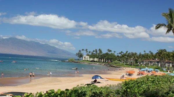The image depicts a sunny beach scene with people, palm trees, and clear water under a blue sky. A vibrant coastal landscape awaits.