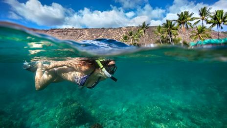 Coraltree Residence Collection