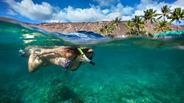 Coraltree Residence Collection