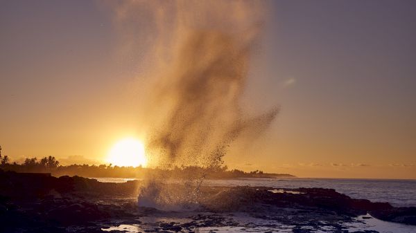 Coraltree Residence Collection