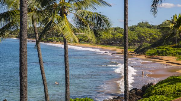 Coraltree Residence Collection