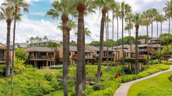 The image features a lush tropical landscape with palm trees and resort-style buildings, surrounded by greenery and pathways.