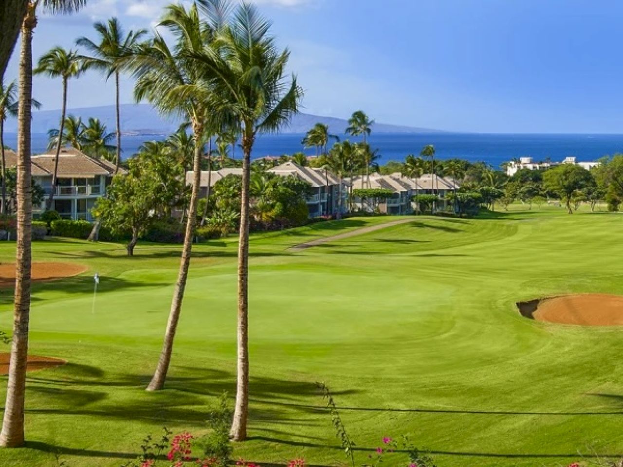 The image shows a scenic golf course with palm trees, lush green grass, and a view of the ocean in the background.
