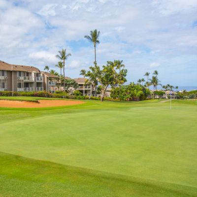 The image shows a scenic view of a well-maintained golf course with a putting green, surrounded by palm trees and residential buildings in the background.