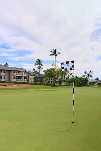 A golf course green with a flagstick, clubhouse buildings in the background, palm trees, and a blue partly cloudy sky.
