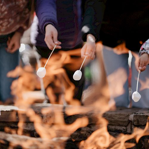 People are holding skewers with marshmallows over a fire, likely to roast them. The scene shows a warm, social atmosphere.