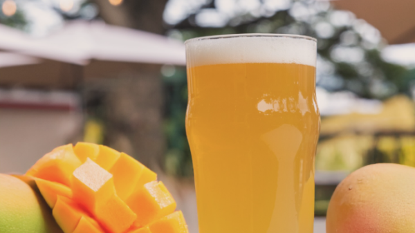 Coraltree Residence Collection