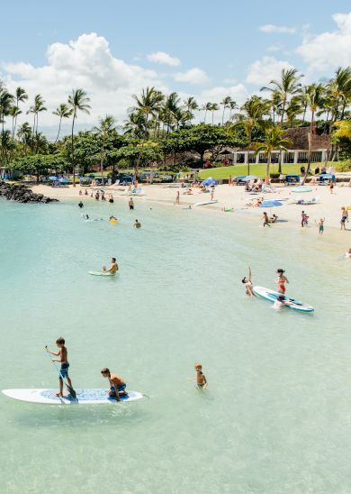 The image shows a sunny beach scene with people paddleboarding and swimming, surrounded by lush palm trees and beachgoers.