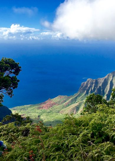 The image showcases a stunning coastal landscape with lush greenery, steep cliffs, and a vibrant blue ocean under a clear sky.