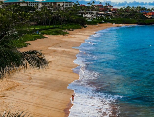 The image shows a scenic beach with golden sand and gentle waves, lined by palm trees and beachfront properties in the background.