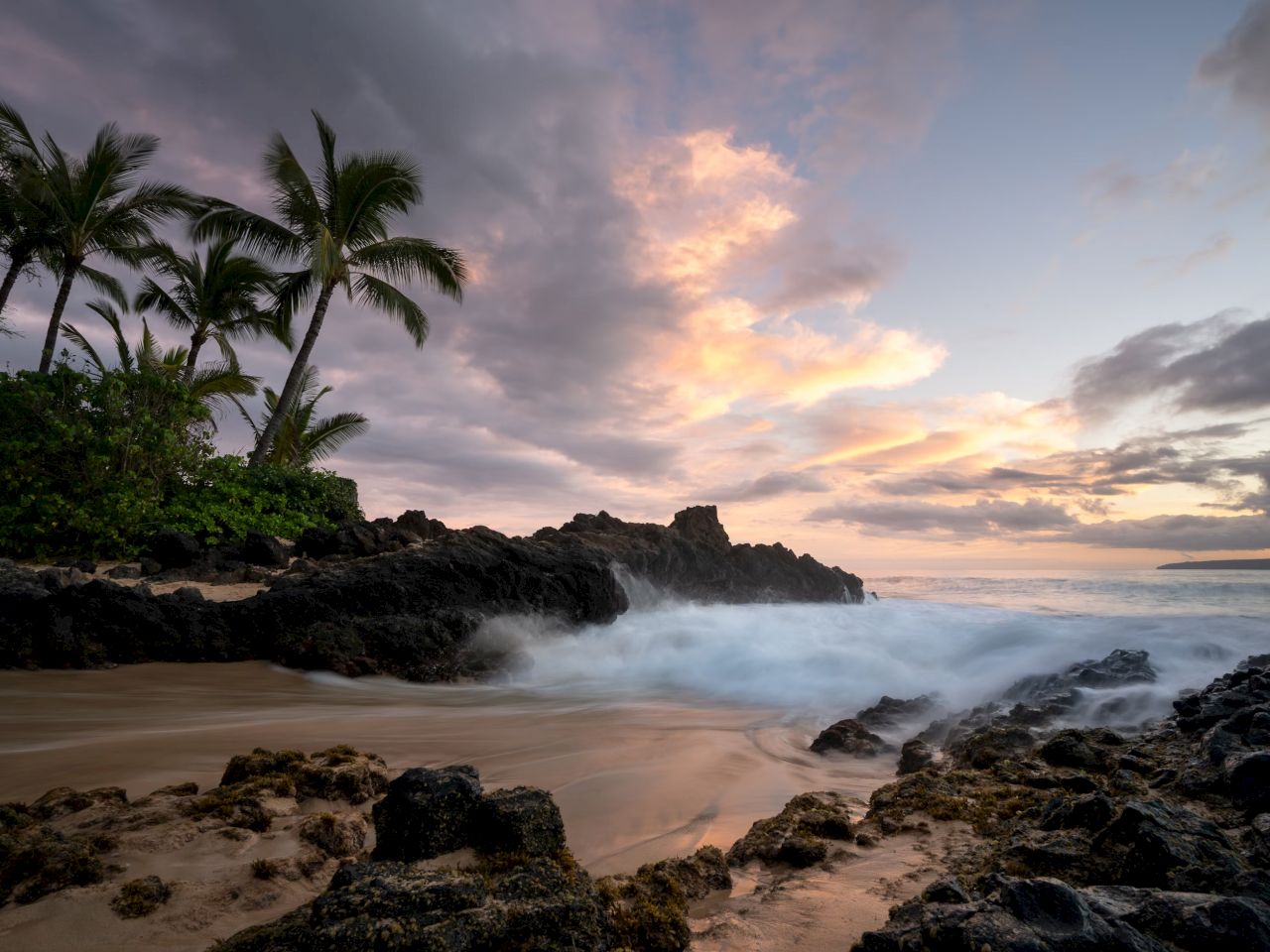 The image features a serene beach scene with palm trees, rocky shores, and gentle waves under a colorful sunset sky.