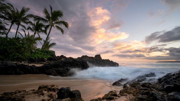 The image features a serene beach scene with rocks, waves, and palm trees under a colorful sky at sunset. It's picturesque and tranquil.
