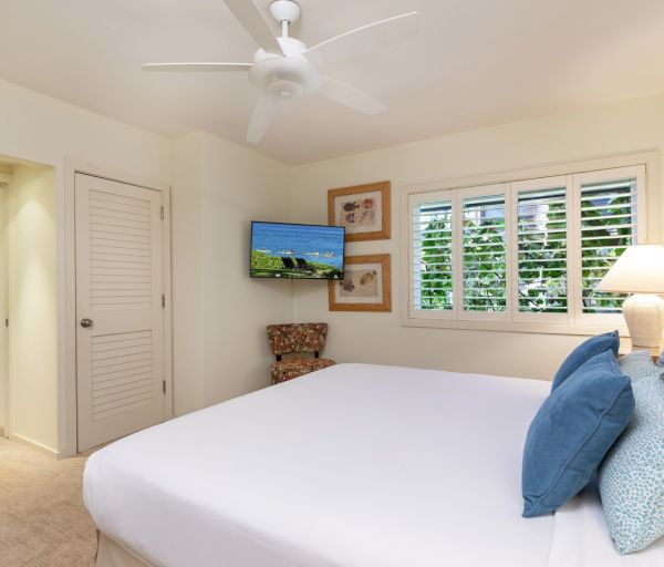 The image shows a cozy bedroom featuring a bed, decorative pillows, a television, and bright natural light through shutters.