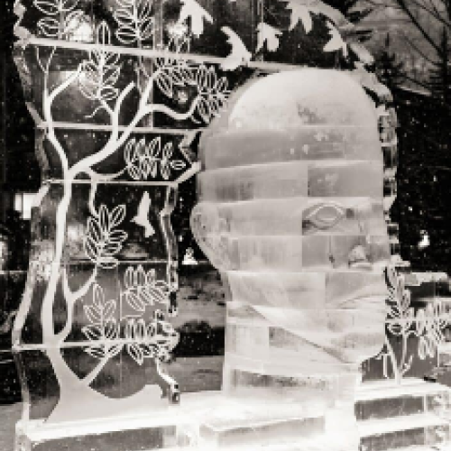 The image features a detailed ice sculpture of a head, surrounded by intricate designs of trees and birds, set against a winter backdrop.