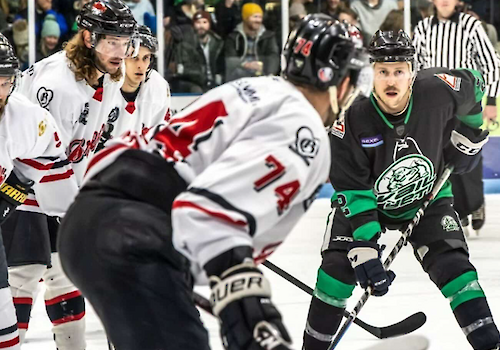 The image shows a hockey game scene with players in action, a crowd in the background, and an on-ice referee overseeing the match.