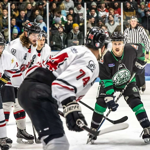 The image shows a hockey game scene with players in action, a crowd in the background, and an on-ice referee overseeing the match.