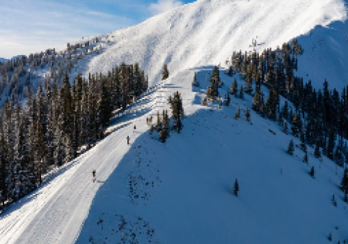 The image depicts a snowy mountain landscape with skiers on a slope, surrounded by tall evergreen trees under a blue sky.