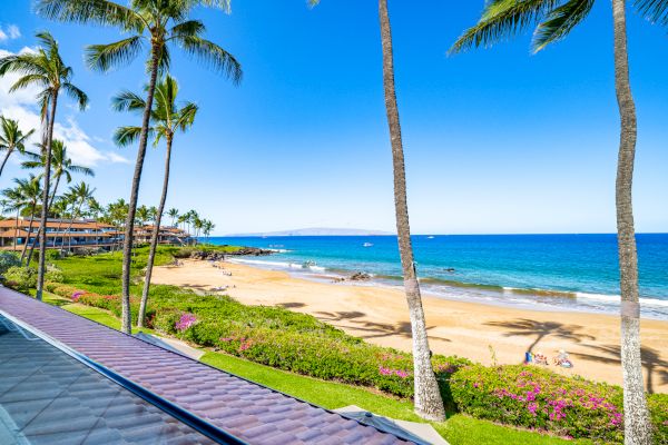 The image shows a beautiful beach scene with palm trees, clear blue skies, and calm ocean waves, creating a tropical paradise.