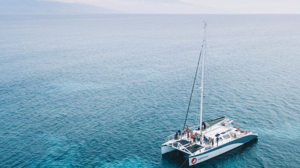 Coraltree Residence Collection