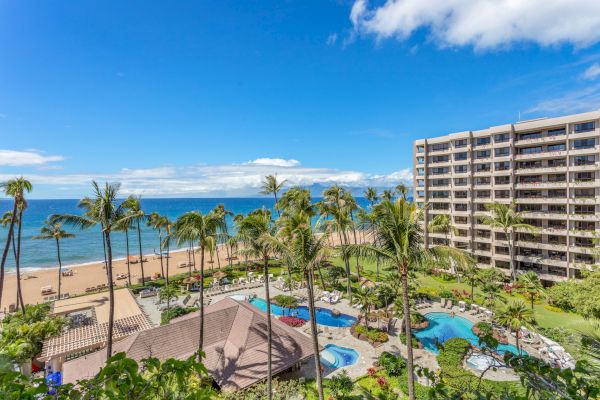 The image shows a tropical beach view with palm trees, a pool area, and a seaside building under a clear blue sky.